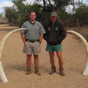 Elephant Hunt in Save Valley Conservancy Zimbabwe