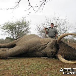 Elephant Hunt in Save Valley Conservancy Zimbabwe