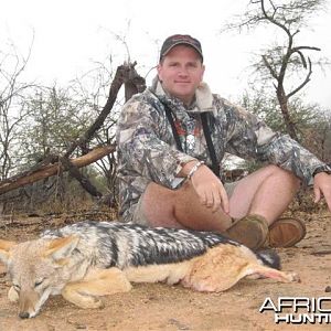 Jackal Hunt in Save Valley Conservancy Zimbabwe