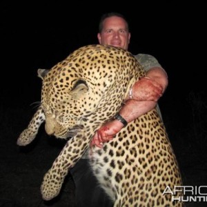 Leopard Hunt in Save Valley Conservancy Zimbabwe