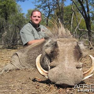 Warthog Hunt in Save Valley Conservancy Zimbabwe