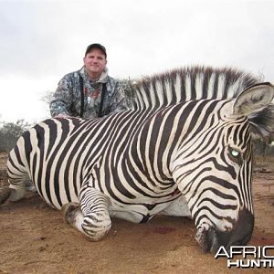 Zebra Hunt in Save Valley Conservancy Zimbabwe