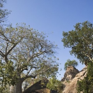 The Sango Lodge in Zimbabwe