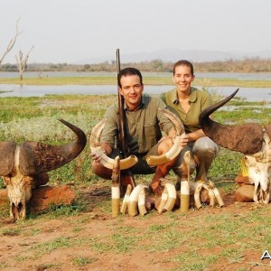 Buffalo and Hippo trophies