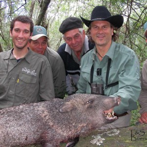 Peccary Hunting in Argentina