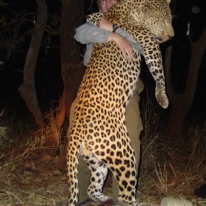 Monster Leopard hunted in Zambia with Prohunt Zambia