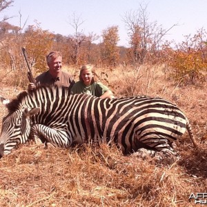 Zebra hunted in Zimbabwe