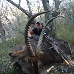 WaterBuck with a bow