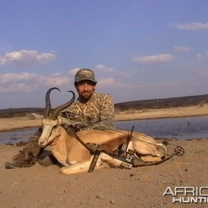 Springbuck harvested with Kowas Hunting Safaris