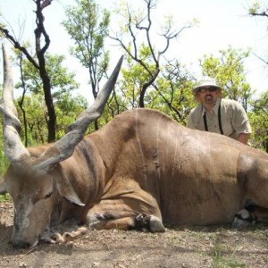 Lord Derby Eland hunted with CAWA in CAR