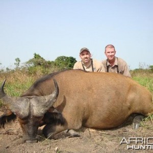 Buffalo hunted with CAWA in CAR