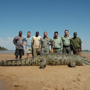 Huge 16 and half foot Crocodile hunted in Zimbabwe40 inch Buffalo hunted in