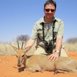 Duiker Namibia