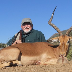 Impala hunt in South Africa