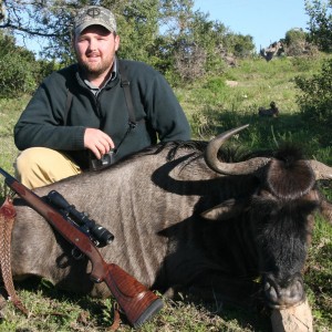 Blue Wildebeest hunt in South Africa