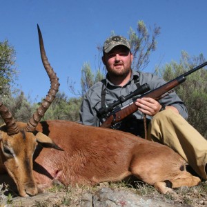 Impala hunt in South Africa