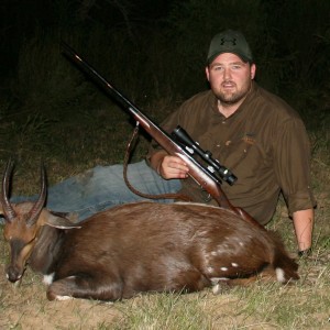 Bushbuck