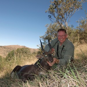 Bushbuck