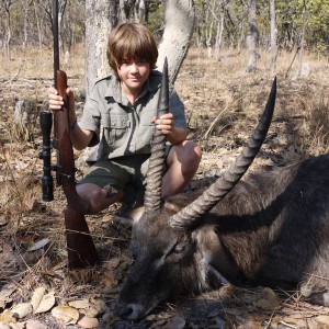 Defassa Waterbuck