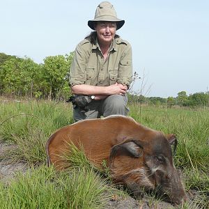 Hunting Red River Hog in CAR with Rudy Lubin Safaris