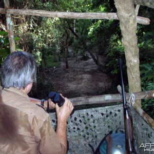 Hunting Bongo in CAR Rudy Lubin Safaris