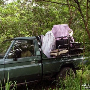 Hunting Bongo in CAR Rudy Lubin Safaris