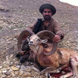 Sheep hunt in Pakistan