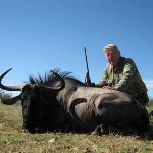 Blue wildebeest with Kowas Hunting Safaris