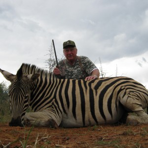 Burchell Zebra with Kowas Hunting Safaris