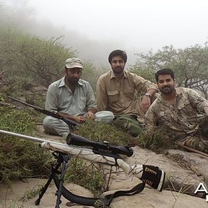 Hunting Sheep in Pakistan