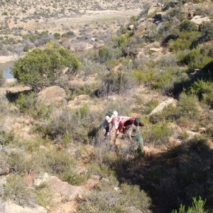 Retrieving, meat, hide and trophy...