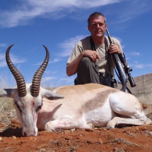 Kalahari springbuck variety