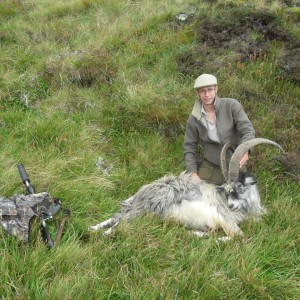 Hunting Scottish Goats in the Scottish Mountains