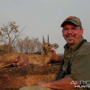 Steenbok