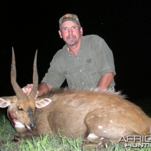 Bushbuck