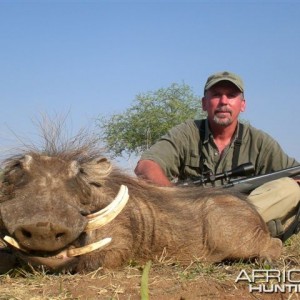 Warthog