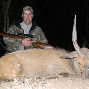 Bushbuck South Africa