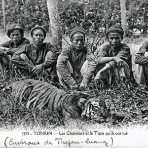 Hunters Hunting Tiger Indo-Chine Tonkin Vietnam ca 1906