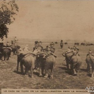 Hunting Tiger in India with Elephants