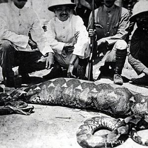 Snake Singapore ca 1920