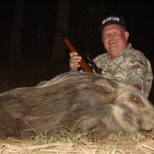 Bushpig