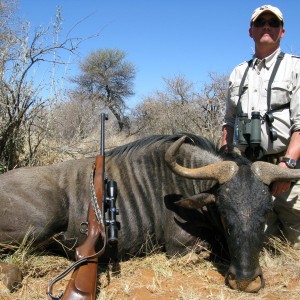 Blue Wildebeest South Africa