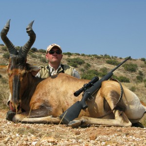 hartebeest South Africa