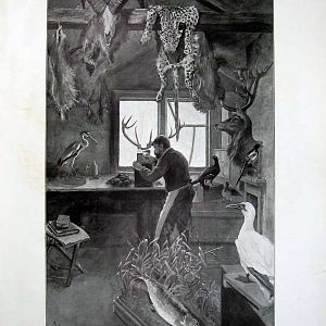 The taxidermist