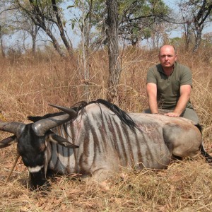 Hunting Nyasaland Wildebeest in Tanzania