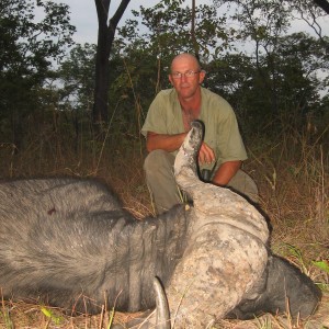 Buffalo shot in a group of 3 males... Tanzania