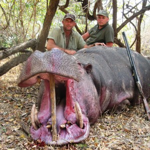 Hunting Hippo in Tanzania