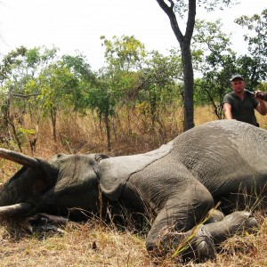 Hunting Elephant in Tanzania