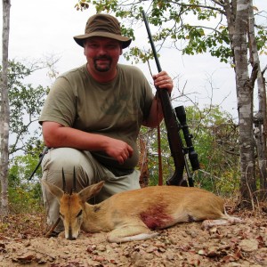 5 inch Eastern Bush Duiker