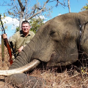 Brain shot on Elephant... Tanzania